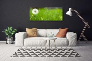 Obraz na plátne Púpava tráva rastlina 125x50 cm