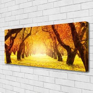 Obraz Canvas Les chodník stromy príroda 125x50 cm