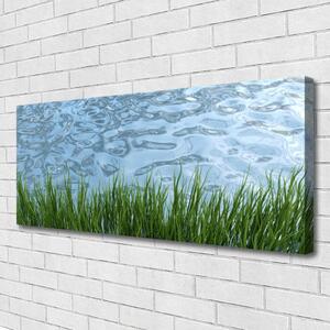 Obraz Canvas Tráva voda príroda 125x50 cm