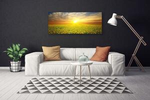 Obraz Canvas Slnko lúka slnečnica 125x50 cm