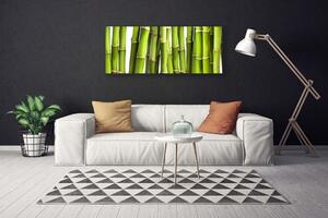 Obraz Canvas Bambus rastlina príroda 125x50 cm
