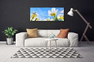Obraz Canvas Rastliny kvety tulipány 125x50 cm