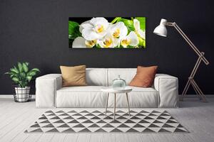 Obraz Canvas Orchidea kvety príroda 125x50 cm