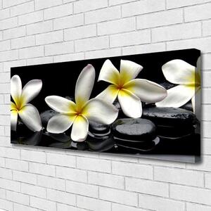 Obraz Canvas Kamene kvety kúpele 125x50 cm