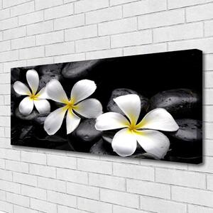 Obraz na plátne Kvet kamene rastlina 125x50 cm