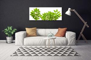 Obraz Canvas Vetva listy rastlina príroda 125x50 cm