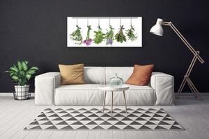 Obraz Canvas Plátky rastlina kuchyňa 125x50 cm