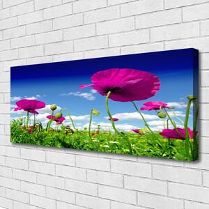 Obraz Canvas Lúka kvety nebo príroda 125x50 cm