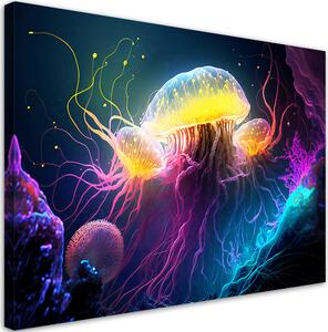 Obraz na plátne Podmorské medúzy Rozmery: 60 x 40 cm