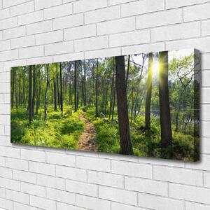 Obraz Canvas Les chodník cestička príroda 125x50 cm