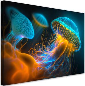 Obraz na plátne Úchvatné medúzy Rozmery: 60 x 40 cm