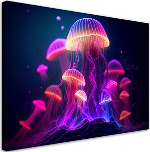 Obraz na plátne Tajomné medúzy Rozmery: 60 x 40 cm