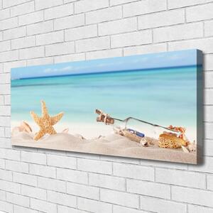 Obraz Canvas Hviezdice mušle pláž 125x50 cm