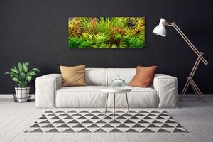 Obraz Canvas Akvárium rybičky rastliny 125x50 cm