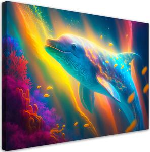 Obraz na plátne Nádherný delfín Rozmery: 60 x 40 cm
