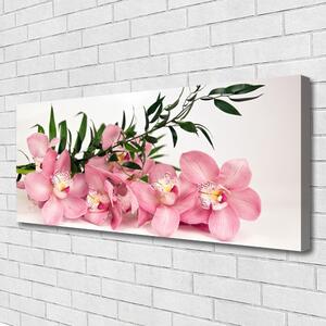 Obraz Canvas Orchidea kvety kúpele 125x50 cm