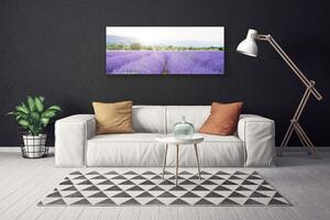 Obraz Canvas Pole levanduľa príroda lúka 125x50 cm
