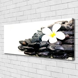 Obraz Canvas Kvety kamene umenie 125x50 cm