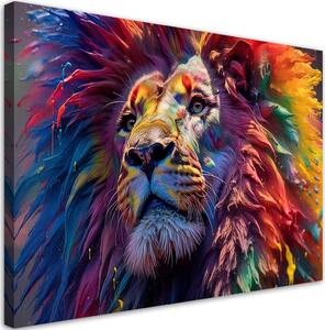 Obraz na plátne Lev s farbami Rozmery: 60 x 40 cm