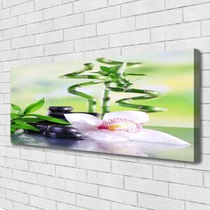 Obraz Canvas Orchidea bambus zen kúpele 125x50 cm