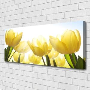 Obraz Canvas Tulipány kvety lúče 125x50 cm