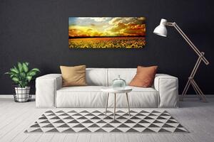 Obraz Canvas Pole slnečníc krajina 125x50 cm