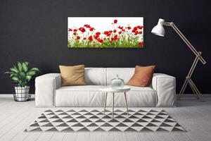 Obraz Canvas Lúka maky kvety príroda 125x50 cm