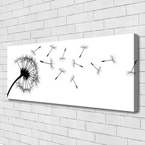 Obraz Canvas Púpava kvet 125x50 cm