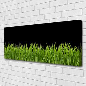 Obraz Canvas Zelená tráva príroda 125x50 cm