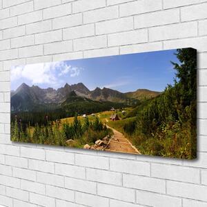 Obraz Canvas Hala góry droga natura łąka 125x50 cm