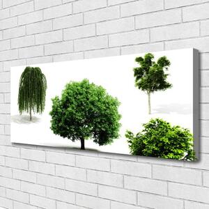 Obraz Canvas Stromy príroda 125x50 cm