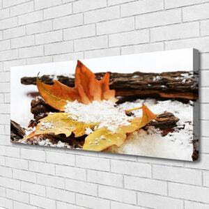 Obraz Canvas List les jeseň príroda 125x50 cm
