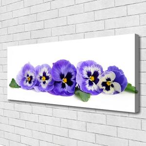 Obraz Canvas Plátky kvet sirôtky 125x50 cm