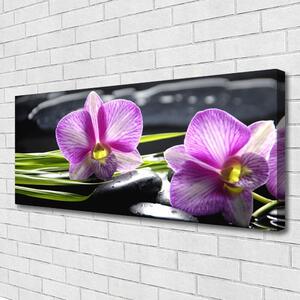 Obraz Canvas Orchidea kamene zen kúpele 125x50 cm