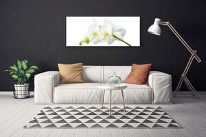 Obraz Canvas Plátky kvet bíla orchidea 125x50 cm