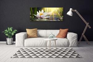 Obraz Canvas Vodné lilie slnko rybník 125x50 cm
