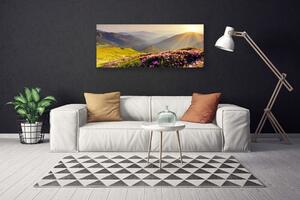 Obraz Canvas Hora lúka krajina 125x50 cm