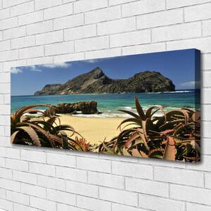 Obraz Canvas Pláž more skala príroda 125x50 cm