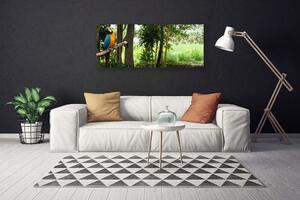 Obraz Canvas Papagáj stromy príroda 125x50 cm