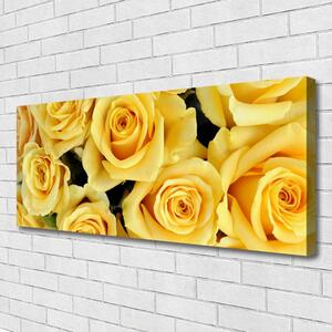 Obraz Canvas Ruže kvety rastlina 125x50 cm