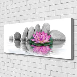 Obraz Canvas Kvet kamene umenie 125x50 cm