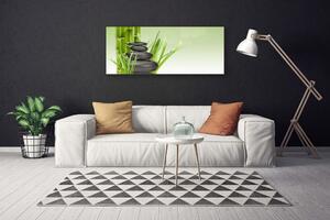 Obraz Canvas Bambus tráva rastlina príroda 125x50 cm