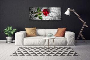 Obraz Canvas Ruže kvet rastlina 125x50 cm