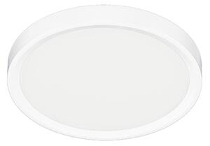 Stropné LED svietidlo Maq, 1x LED 18w, 3000-6500k, w