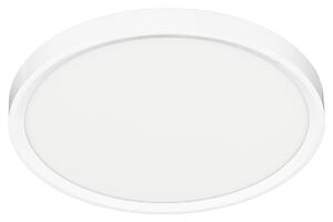 Stropné LED svietidlo Maq, 1x LED 24w, 3000-6500k, w