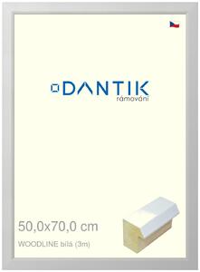 DANTIK rám na obraz 50x70 | WOODLINE bílá (Plexi Čiré)