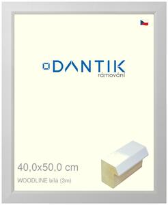 DANTIK rám na obraz 40x50 | WOODLINE bílá (Plexi Čiré)