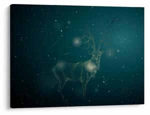 Obraz - Magický jeleň v noci (70x50 cm)