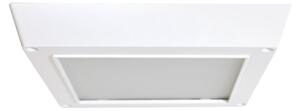 Stropné LED svietidlo Evora Square, 1x LED 6w, 6000k, w