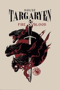 Plagát, Obraz - Game of Thrones - House Targaryen, (61 x 91.5 cm)